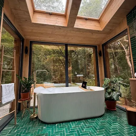 De La Palombiere Saint-Clar