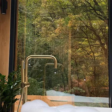 De La Palombiere Saint-Clar