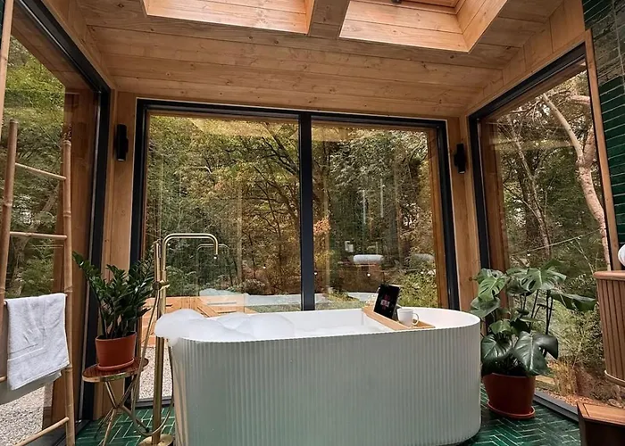 De La Palombiere Saint-Clar