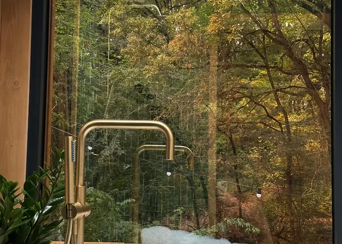 De La Palombiere Saint-Clar