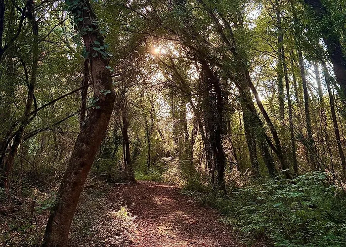 De La Palombiere 4* Saint-Clar